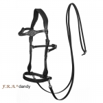Dandy Sidepull Bitless Bridle & Reins